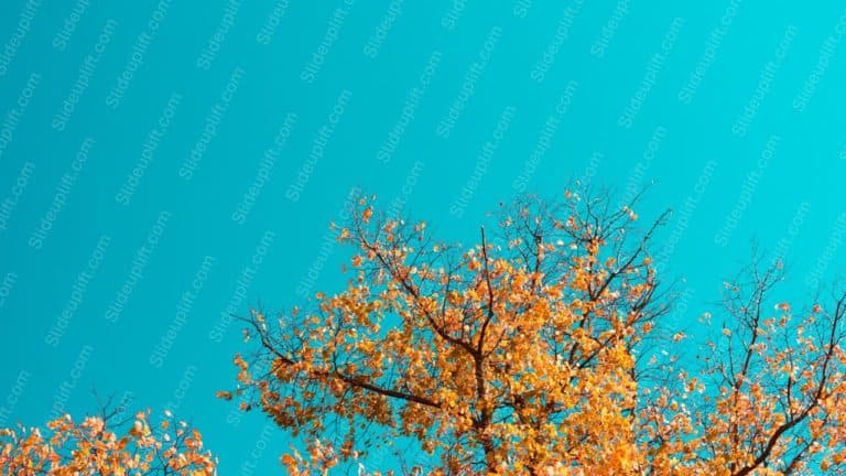 Turquoise Sky AutumnLeaves background image & Google Slides Theme