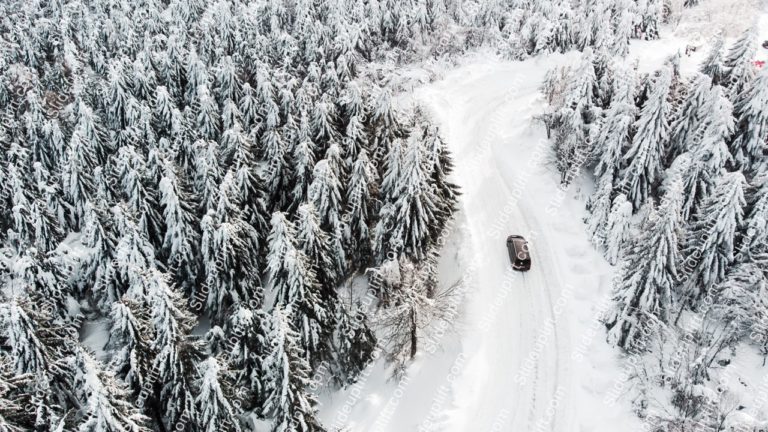 White Snow Covered Trees with Dark Vehicle background image & Google Slides Theme