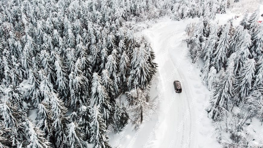 White Snow Covered Trees with Dark Vehicle background image