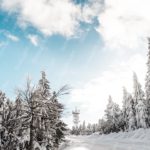 White Snow covered Trees Blue Sky background image & Google Slides Theme