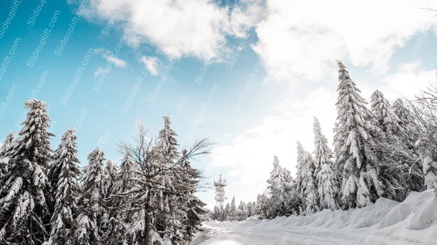 White Snow covered Trees Blue Sky background image