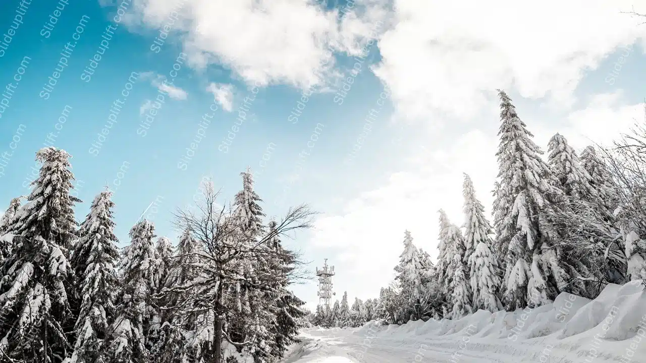 White Snow covered Trees Blue Sky background image & Google Slides Theme