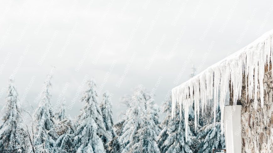 White icicles snowy trees background image