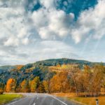 blue white sky yellow orange green trees road background image & Google Slides Theme