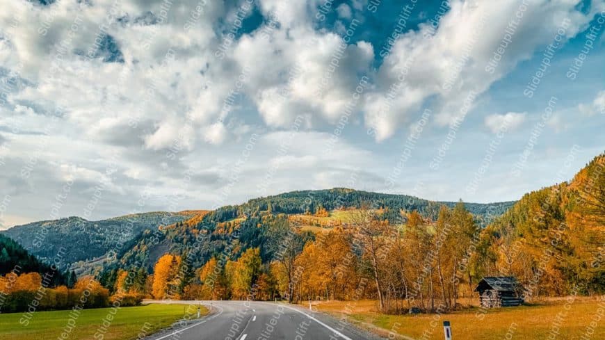 blue white sky yellow orange green trees road background image