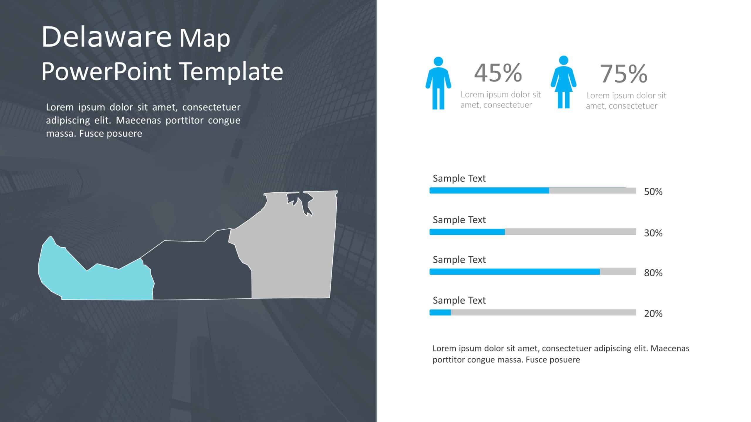 Delaware Map PowerPoint Template 10 & Google Slides Theme