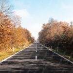 Autumn Brown Trees Asphalt Road Background Image & Google Slides Theme