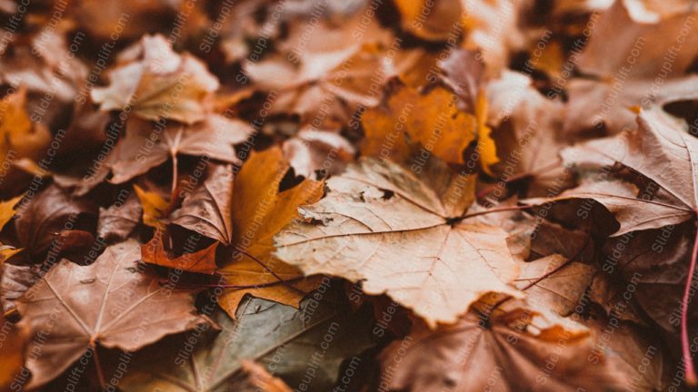 Autumn Brown And Yellow Leaves Background Image & Google Slides Theme