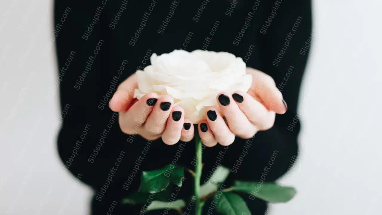 Black Nailpolish White Rose Background Image & Google Slides Theme