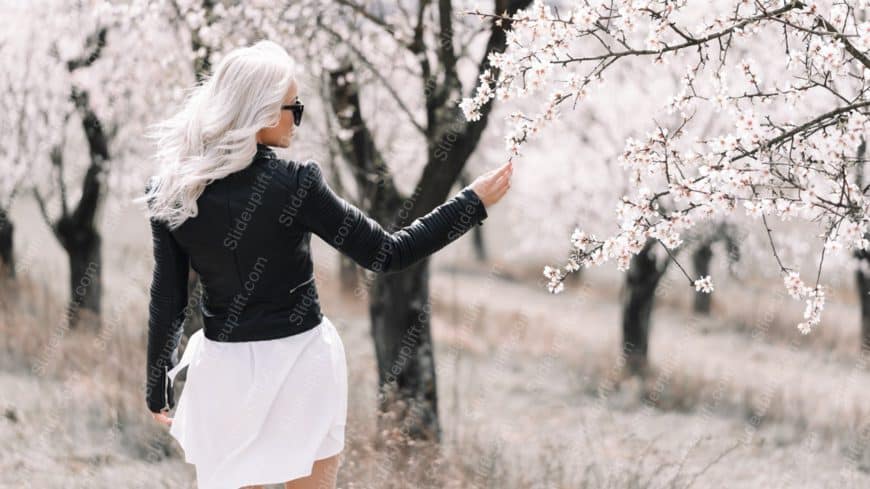 Black White Person Cherry Blossoms Background Image