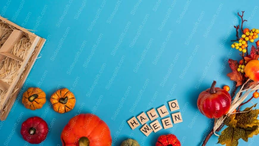 Blue Multi Coloured Pumpkins And Autumn Leaves Background Image