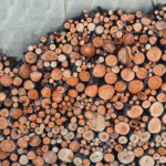 Brown Orange Log Pile Background Image & Google Slides Theme