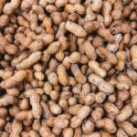 Brown Peanuts Background Image & Google Slides Theme