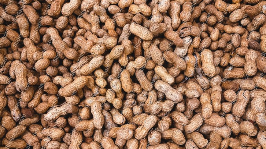 Brown Peanuts Background Image