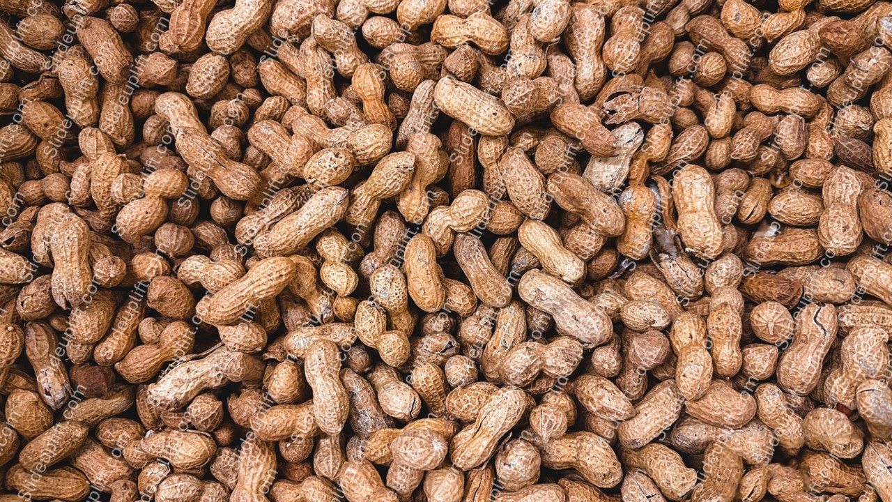 Brown Peanuts Background Image & Google Slides Theme