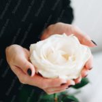 Cream White Rose Black Sweater Background Image & Google Slides Theme