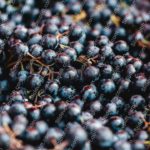 Dark Purple Grapes Background Image & Google Slides Theme