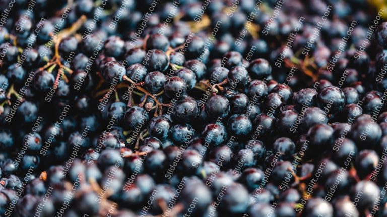 Dark Purple Grapes Background Image & Google Slides Theme