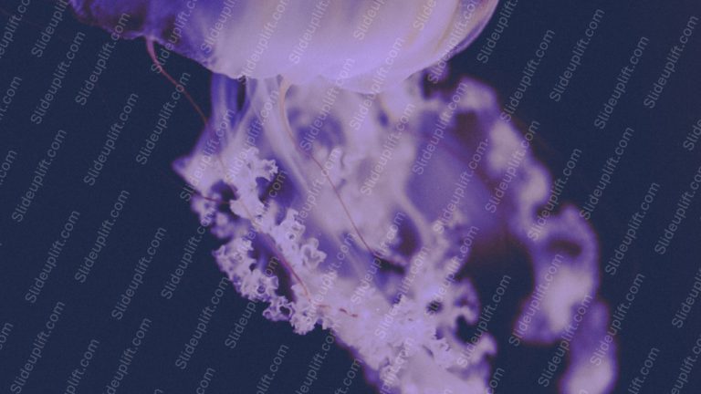 Lavender Jellyfish Navy Background Image & Google Slides Theme