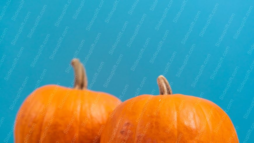 Orange Pumpkins Blue Background Image