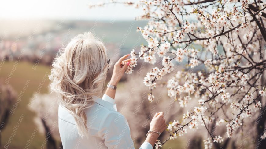 Pastel Blue Shirt Woman Blossoming Tree Background Image