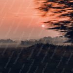 Peach Sunrise Trees Background Image & Google Slides Theme