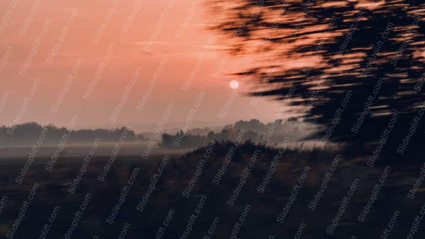 Peach Sunrise Trees Background Image