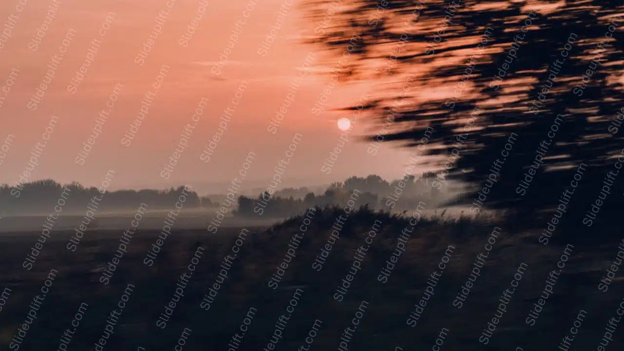 Peach Sunrise Trees Background Image & Google Slides Theme