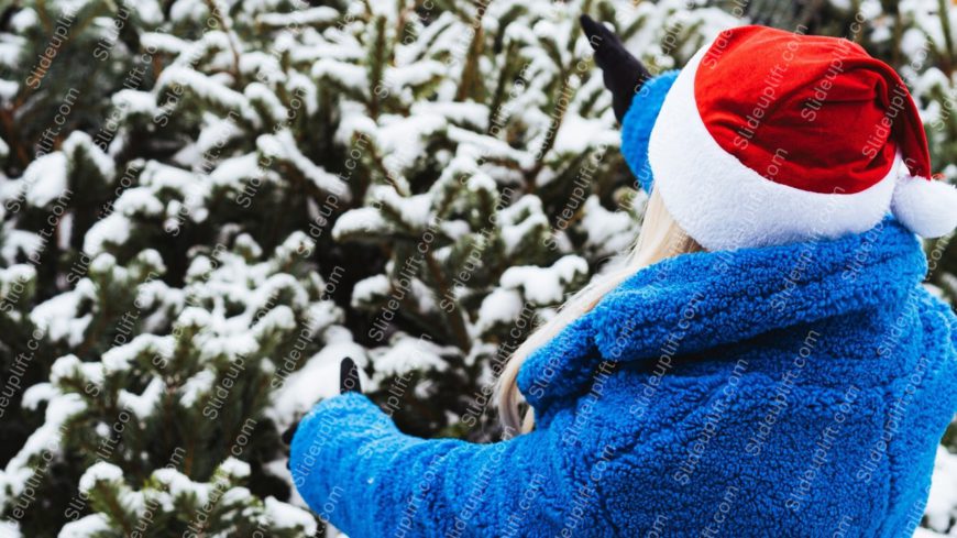 Red Santa Hat Blue Coat Snowy Pine Trees Background Image