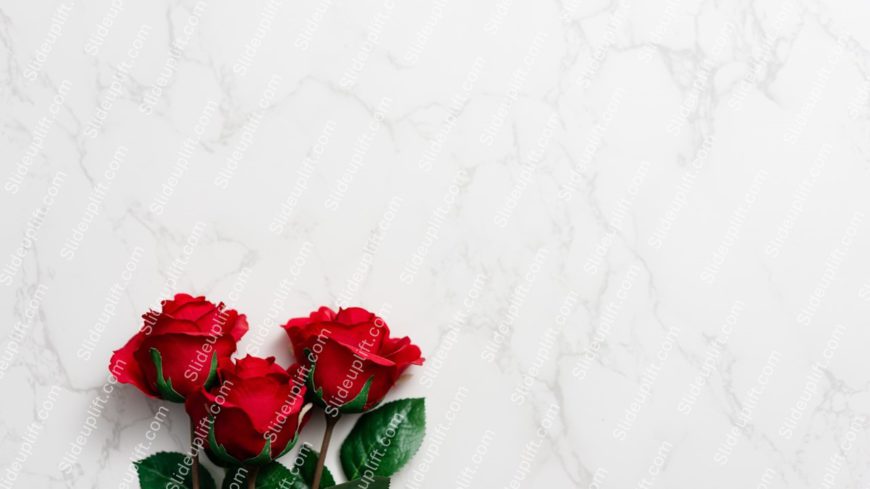 Red Roses White Marble Background Image