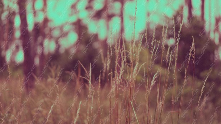 Sepia Tones Grass Bokeh Forest Background Image & Google Slides Theme