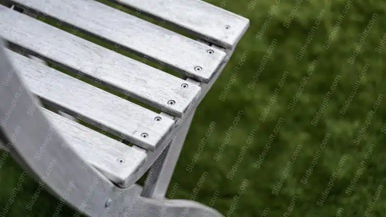 Silver Bench Green Grass Background Image & Google Slides Theme