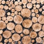 Tan Brown Cross Sections Of Logs Background Image & Google Slides Theme