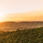 Warm Yellow Sunrise Hills Vineyard Background Image & Google Slides Theme