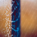 White Dewdrop Spiderweb Navybluebrowngradient Background Image & Google Slides Theme