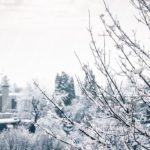 White Snow Covered Trees Houses Background Image & Google Slides Theme