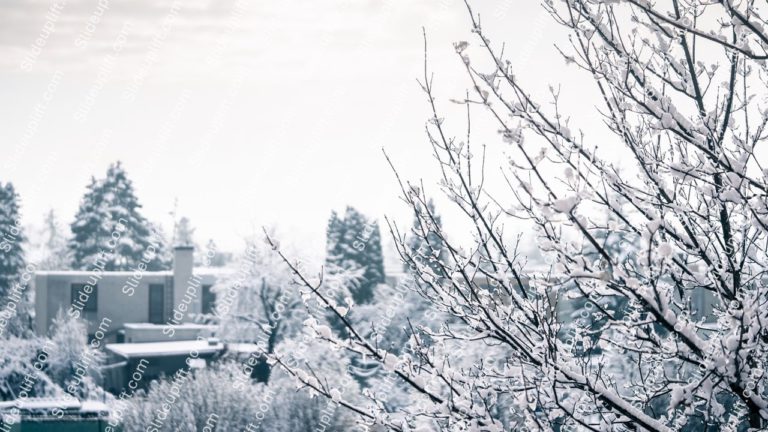 White Snow Covered Trees Houses Background Image & Google Slides Theme