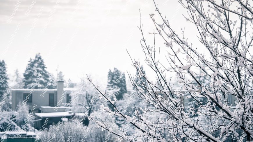 White Snow Covered Trees Houses Background Image