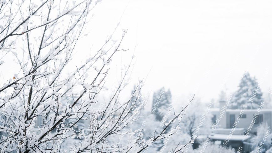 White Snow Covered Trees Winter Landscape Background Image