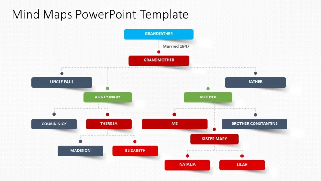 A Flowchart Mind map showing a broad classification of a main idea.