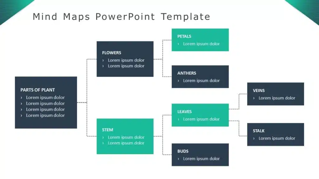 A Flowchart Mind Map with clear flow of ideas into categories