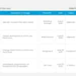Editable Change Request Log Presentation Template & Google Slides Theme