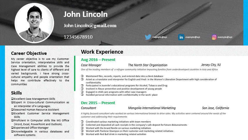 Get These Modern Resume Infographic Examples