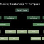 Genealogy Ancestry Relationship PPT Template & Google Slides Theme