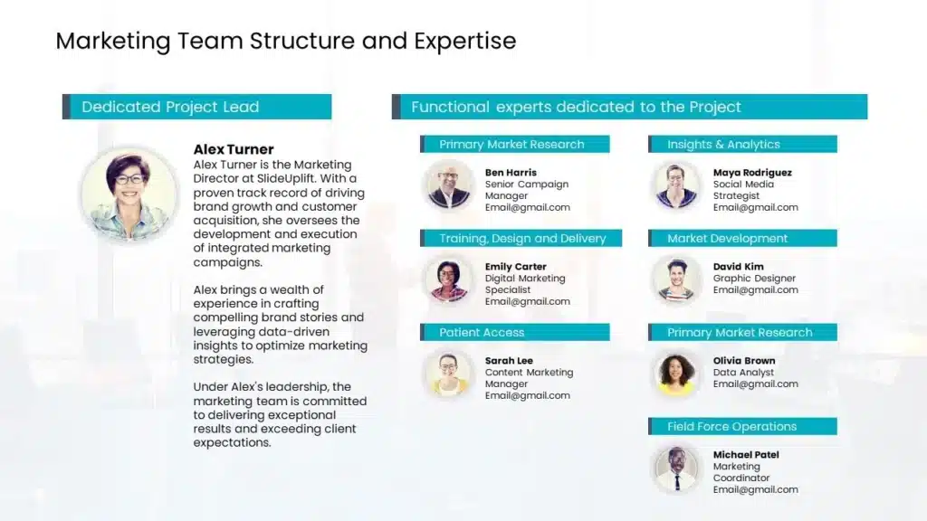 Marketing team org chart example PowerPoint template showing digital, content, and brand management teams