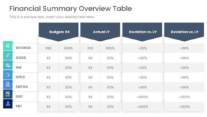 Financial Overview Summary PowerPoint Template