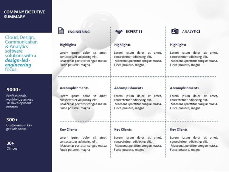 Company Executive Summary PowerPoint Template