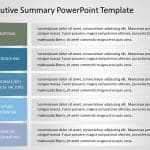 Executive Summary PowerPoint Template 14 & Google Slides Theme 11