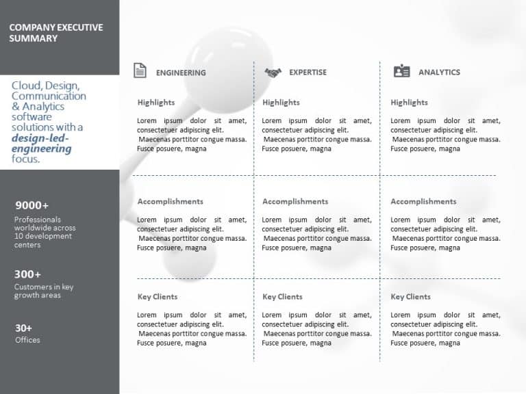 Company Executive Summary PowerPoint Template & Google Slides Theme 15