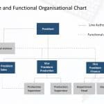 Line and Functional Organization Structure PowerPoint Template ...